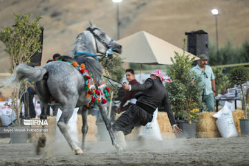 Fête du cheval kurde à Sanandaj