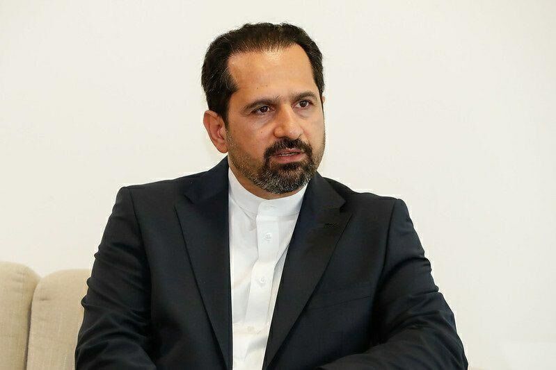 سفير ايران في البرازيل: انضمام إيران إلى بریکس نتيجة الجهود الدبلوماسية المكثفة