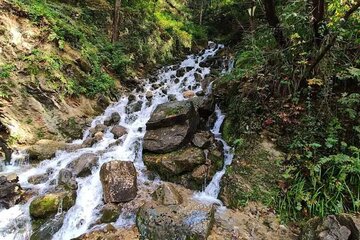 آبشار آب پری مازندران؛ فرشته‌ای در میان جنگل