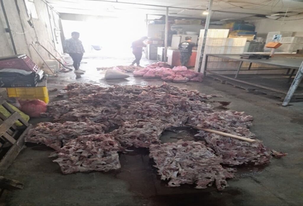 یک واحد غیرمجاز عمل آوری گوشت و ضایعات مرغ در ساوجبلاغ تعطیل شد