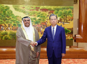 مقام ارشد چین: آماده گسترش همکاری با کشورهای عربی هستیم