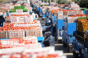 کرمان می‌تواند به خوبی نیاز بازار قطر به محصولات کشاورزی را تامین کند