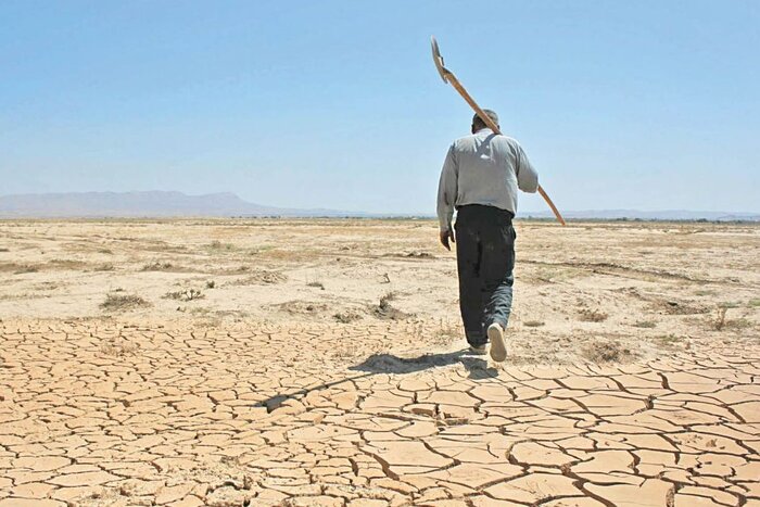 کشاورزان خسارت دیده از خشکسالی سال گذشته استان اردبیل حمایت می‌شوند