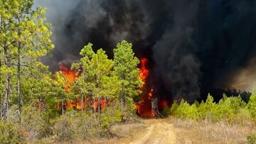 تخلیه بخش‌ اعظم شهر «هانتسویل» آمریکا در پی آتش‌سوزی‌ جنگلی