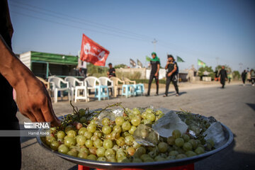 Arbaeen pilgrims in Iraq's Al Diwaniyah