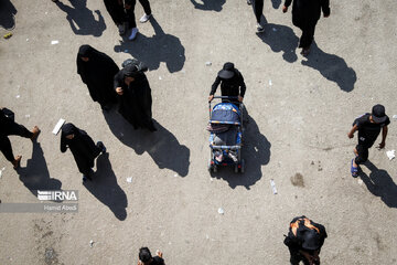 Arbaeen pilgrims in Iraq's Al Diwaniyah