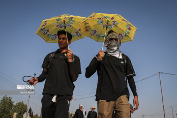 Arbaeen pilgrims in Iraq's Al Diwaniyah