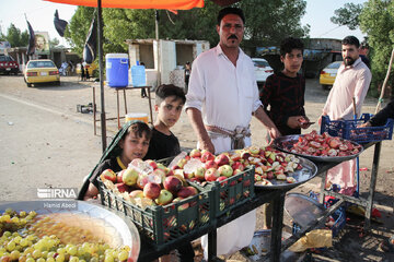 Arbaeen pilgrims in Iraq's Al Diwaniyah