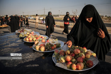 Arbaeen pilgrims in Iraq's Al Diwaniyah