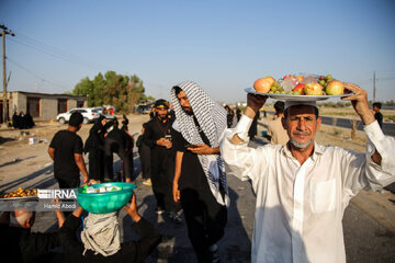 Arbaeen pilgrims in Iraq's Al Diwaniyah