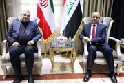 Iran, Iraq ministers discuss Arbaeen pilgrims' health on phone