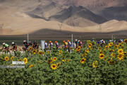 Round-up of 36th Int'l Iran-Azarbaijan Cycling Tour