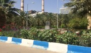 ۵۵ هکتار فضای سبز در نیروگاه بخار ایرانشهر ایجاد شد