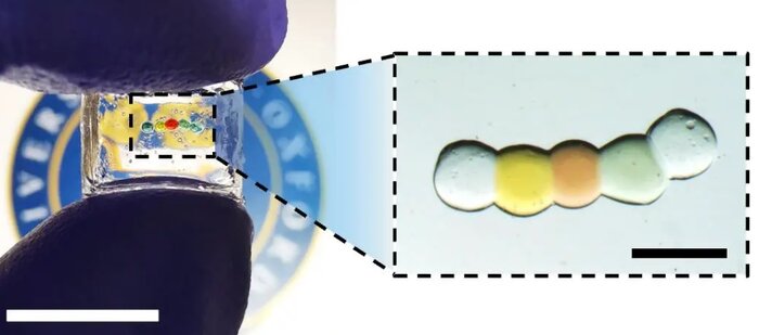 باتری «قطرهای» راه را برای ورود دستگاههای ریز به بافت بدن هموار کرد 2 باتری «قطرهای» راه را برای ورود دستگاههای ریز به بافت بدن هموار کرد