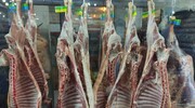 تعیین سود بازرگانی صفر درصدی برای واردات گوشت تازه و منجمد