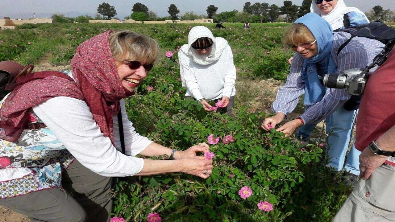 گردشگری کشاورزی؛طعم زندگی روستایی