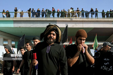 March of Arbaeen through Iraq’s al-Hamza