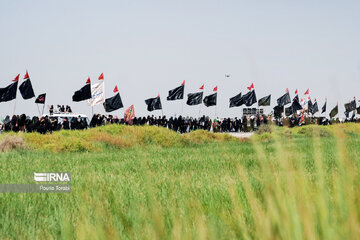 March of Arbaeen through Iraq’s al-Hamza