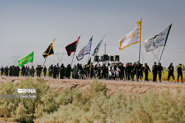 March of Arbaeen through Iraq’s al-Hamza