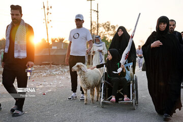 March of Arbaeen through Iraq’s al-Hamza