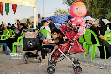 March of Arbaeen through Iraq’s al-Hamza