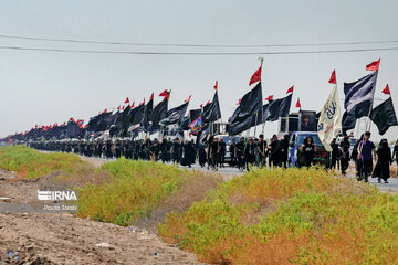 March of Arbaeen through Iraq’s al-Hamza