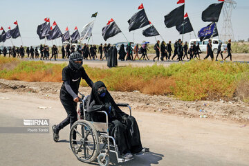 March of Arbaeen through Iraq’s al-Hamza