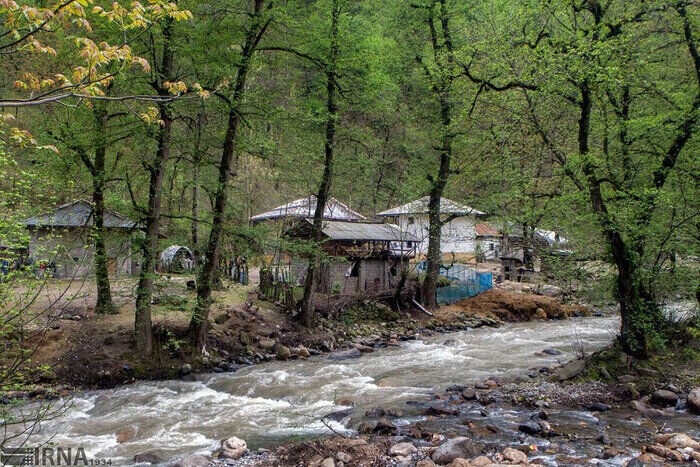 رنسانس بهار در شهریور مازندران