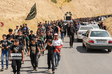 Tehraníes participan en caminata simbólica de Arbaín