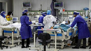 ۶۷ بیمار کرونایی در مراکز درمانی فارس با این ویروس نامرئی در جدالند