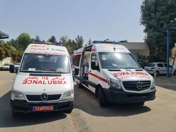 ضرورت تسهیل در ترخیص خودروهای امدادی هلال احمر از گمرک بوشهر