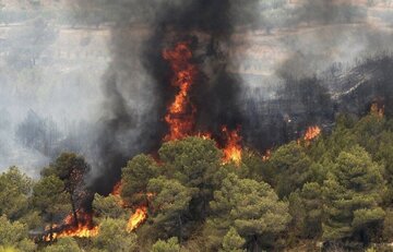 کوهستانی و شیب تند مهار آتش در جنگل های باشت را دشوار کرد