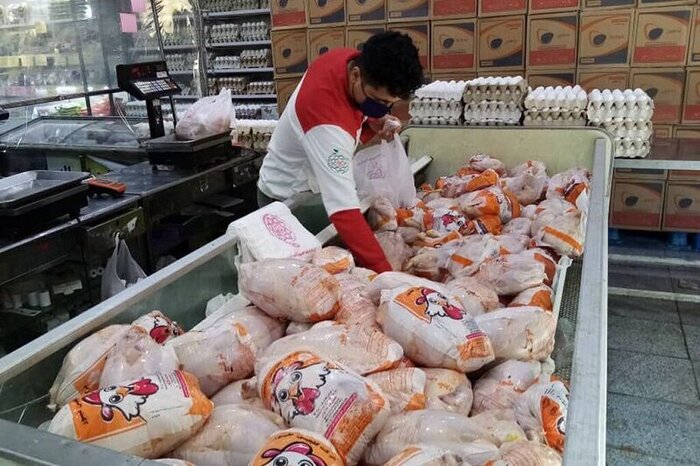 خرید گوشت مرغ منجمد مازاد بر تولید در کرمانشاه آغاز شد