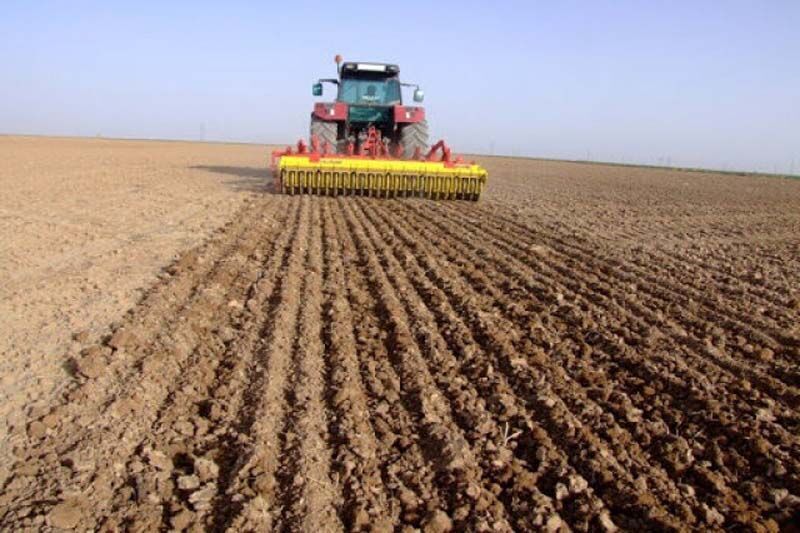 کشت پاییزه محصول در ۱۸۰ هزار هکتار از دیمزارهای استان اردبیل
