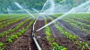 اجرای سامانه آبیاری نوین در یک‌هزار و ۲۴۰ هکتار از زمین‌های کشاورزی استان مرکزی