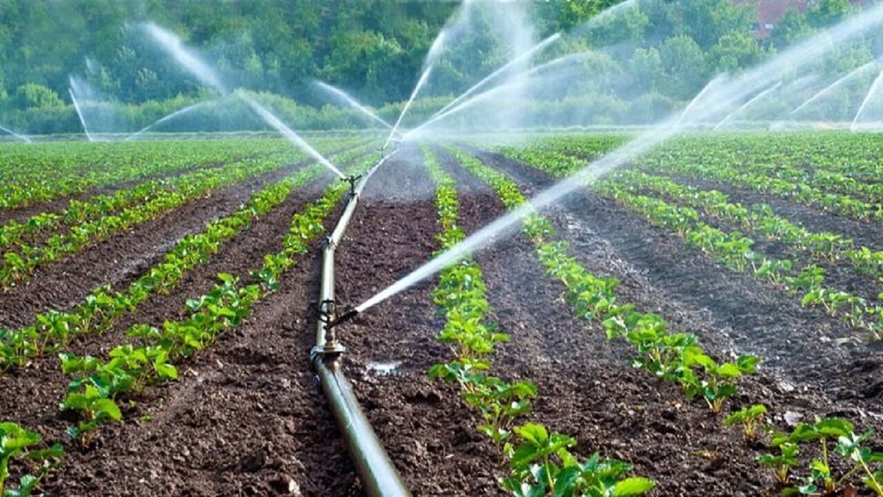 اجرای سامانه آبیاری نوین در یک‌هزار و ۲۴۰ هکتار از زمین‌های کشاورزی استان مرکزی