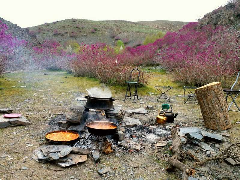 دشت ارغوان؛ بهشت ناشناخته مشهد