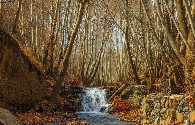 دشت ارغوان؛ بهشت ناشناخته مشهد