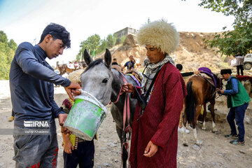 Horse riders on way to Imam Reza shrine