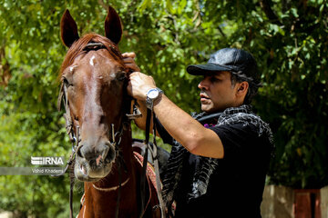 Horse riders on way to Imam Reza shrine