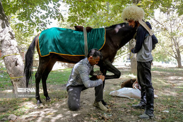 Horse riders on way to Imam Reza shrine