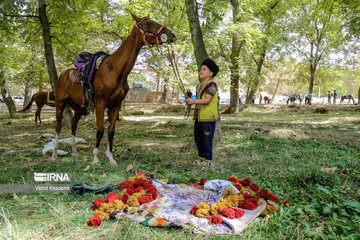 Horse riders on way to Imam Reza shrine