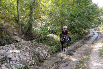 Horse riders on way to Imam Reza shrine