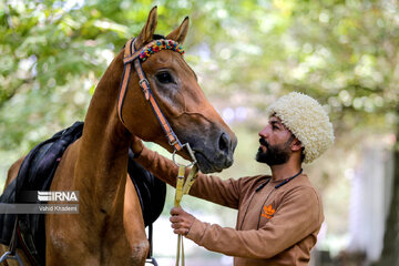 Horse riders on way to Imam Reza shrine