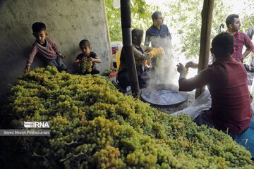 Village touristique de Dulab ; où les raisins se transforment en raisins secs au Kurdistan iranien