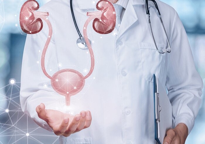 معده، پروستات و مثانه سه سرطان شایع در مردان ایرانی