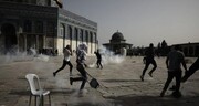  مسجد الاقصی میں نمازیوں پر حملہ بین الاقوامی قوانین کی کھلی خلاف ورزی ہے