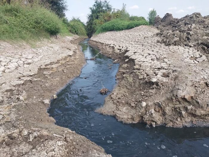 آبندان بنفش روستای «ابوالحسن کلا» بابل چشم انتظار لایروبی