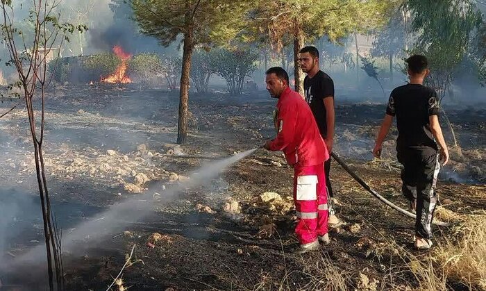 نهالستان منابع طبیعی روستای لرینی سیروان طعمه حریق شد