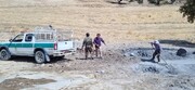 هشت کوره زغال غیرمجاز در مناطق جنگلی باشت تخریب شد+ فیلم